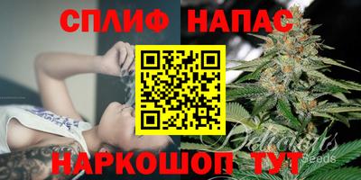 прущие грибы Новодвинск