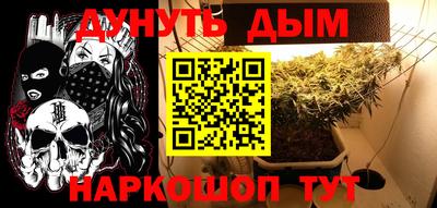 мет Новозыбков