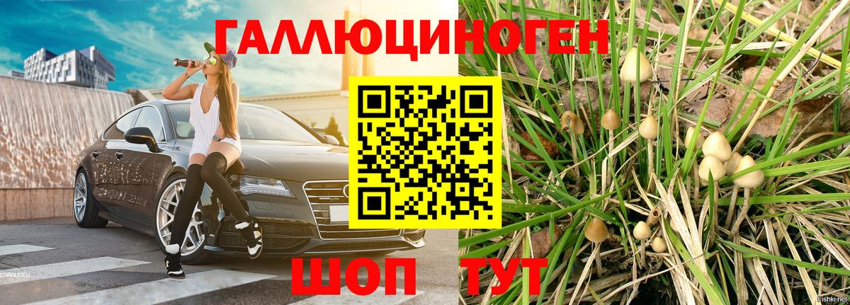 Псилоцибиновые грибы мицелий  Вход с VPN  купить   Галлюциногенные грибы Cubensis  Обь 
