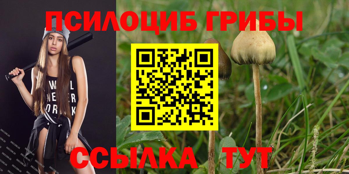 Галлюциногенные грибы мухоморы Обь